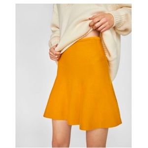Zara Skirt